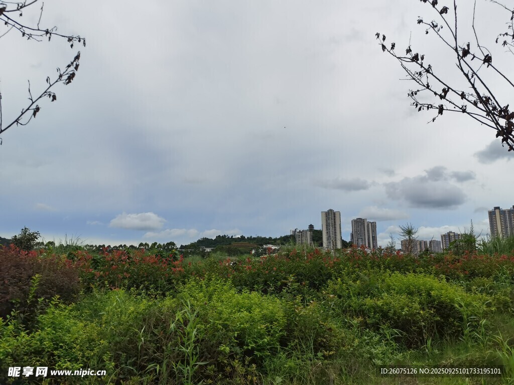 城市邊的綠意景觀