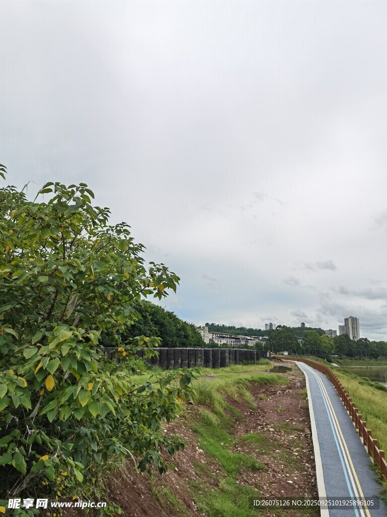 蜿蜒軌道旁綠意盎然