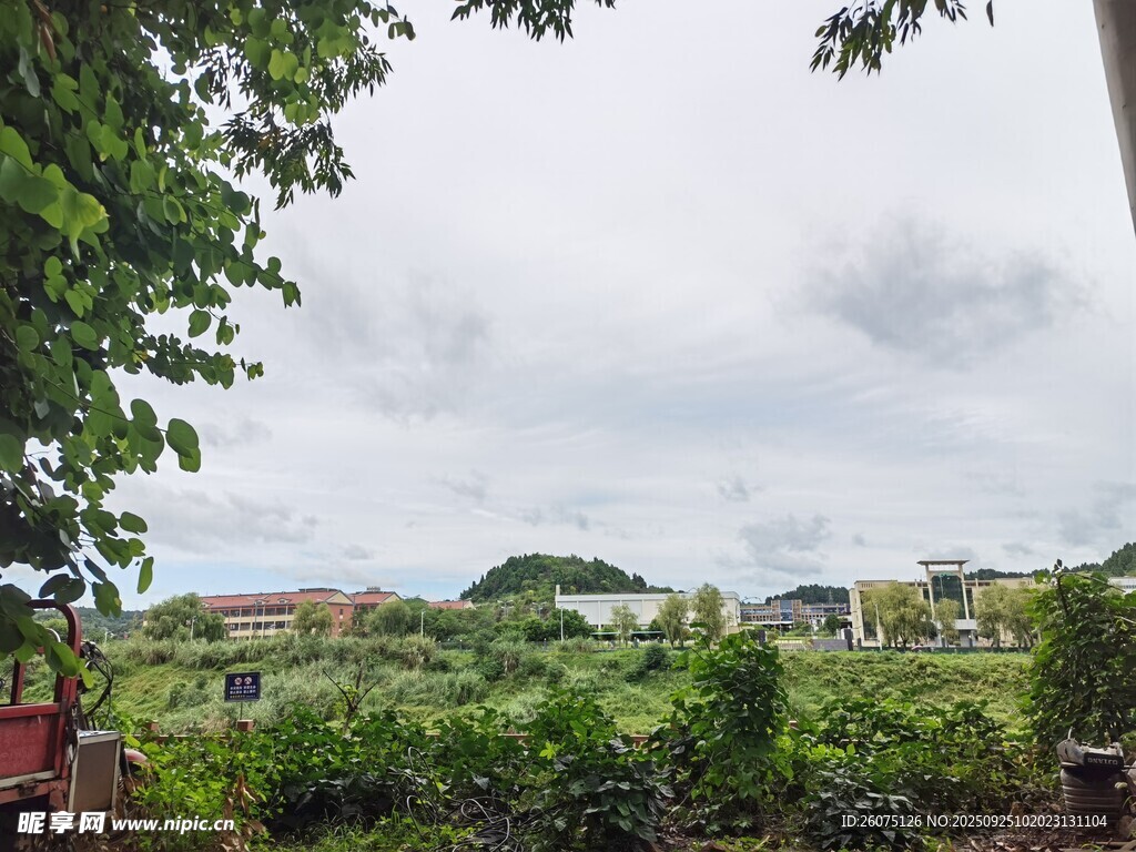 綠意盎然的戶外風(fēng)景