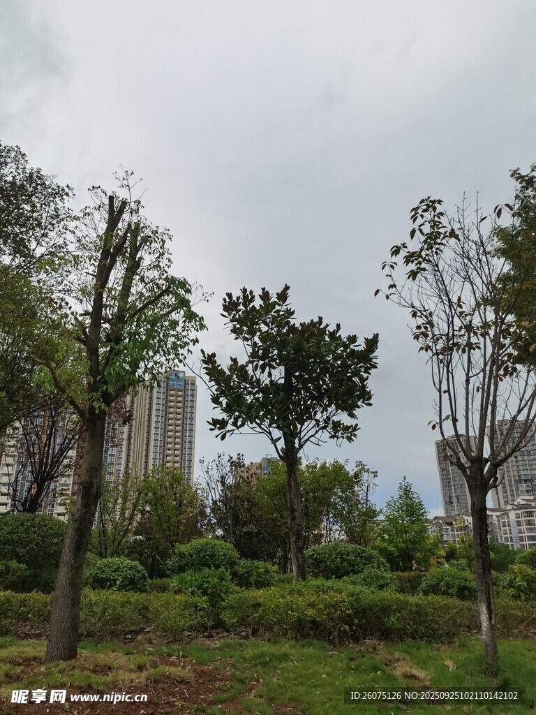 城市中的綠意盎然景觀