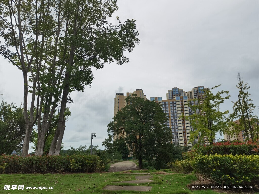 城市公園中的綠樹(shù)與建筑