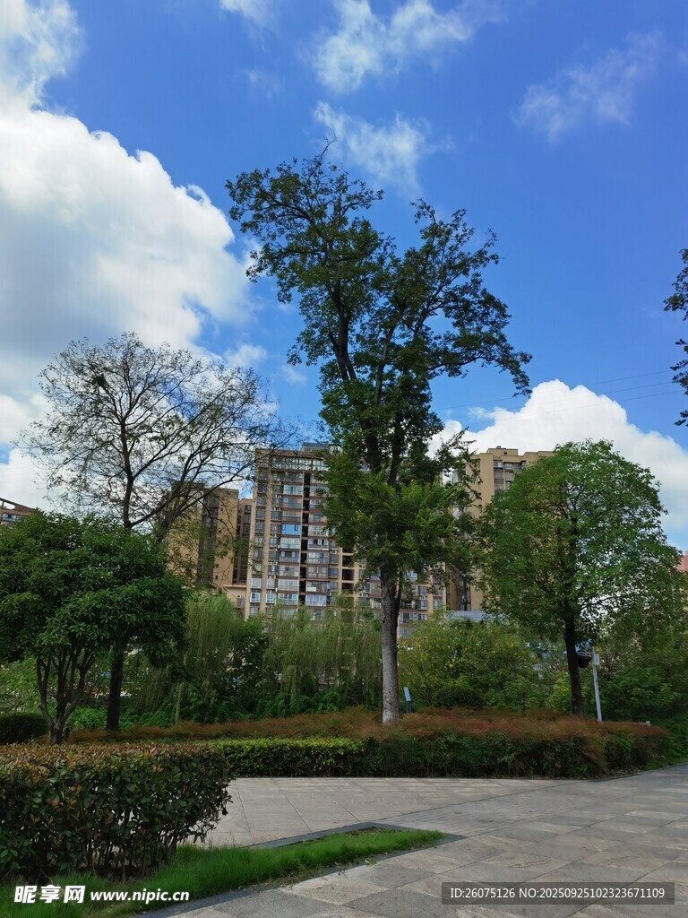 城市中的綠意景觀