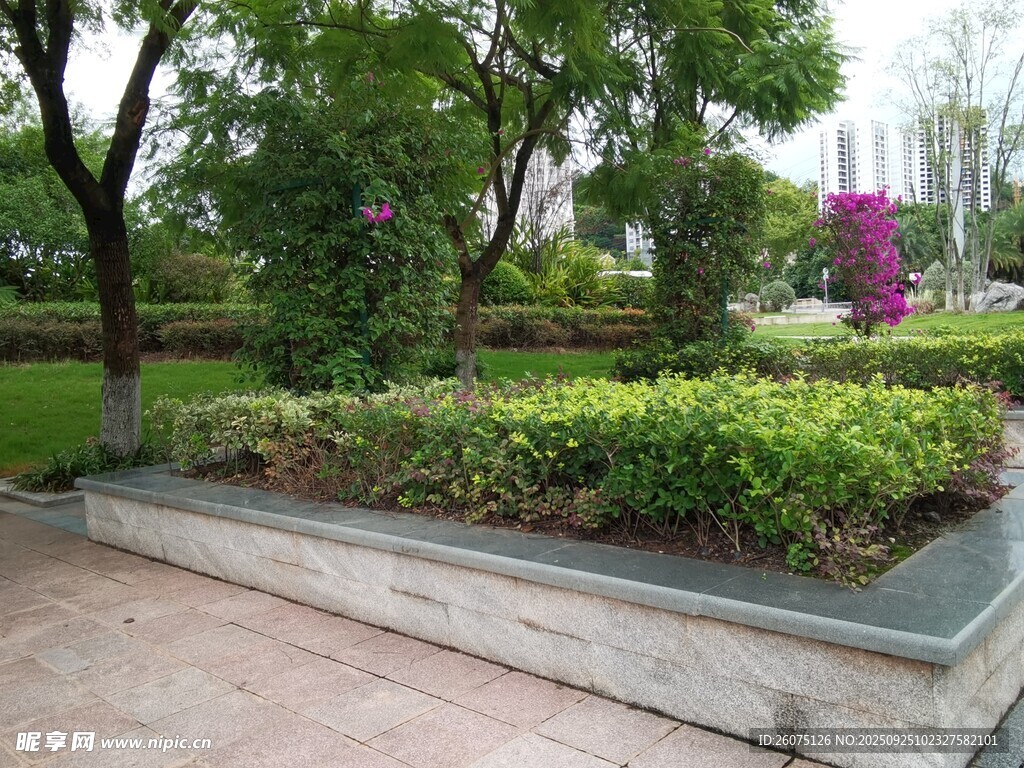 城市中的精致綠植景觀