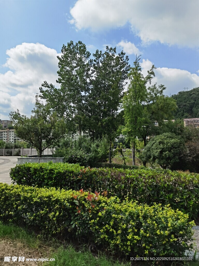 戶外綠意盎然的園林景觀