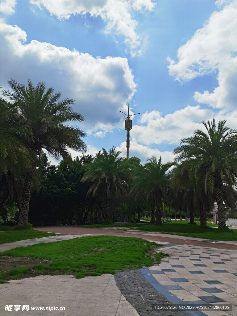 城市公園中的開闊景觀