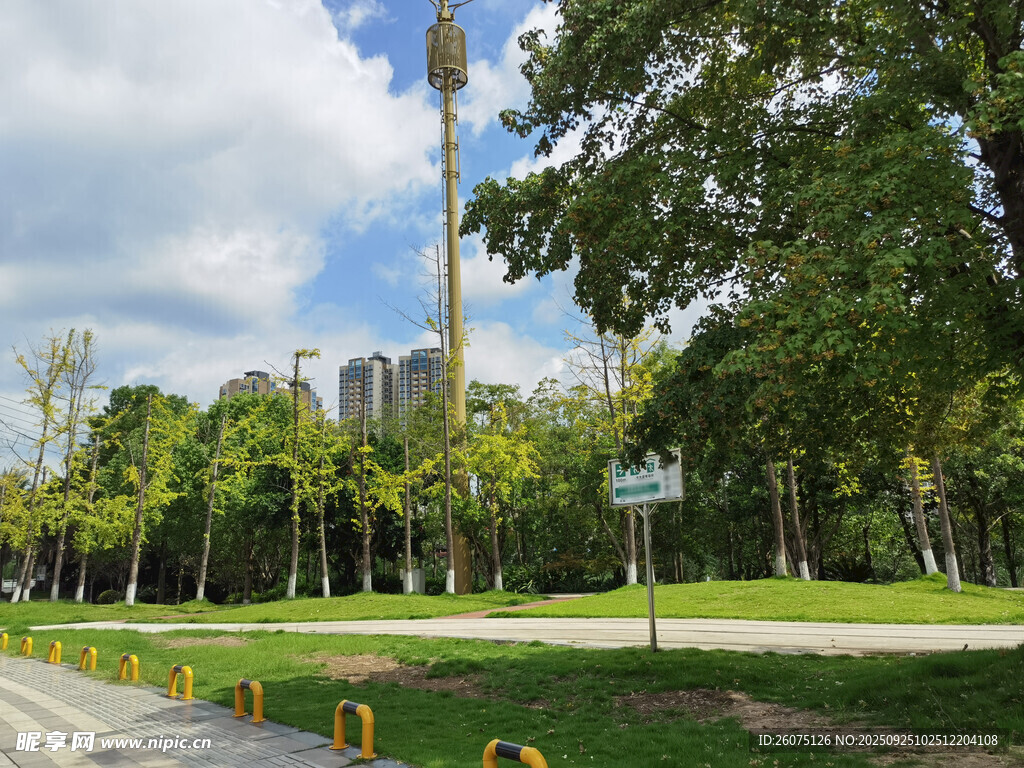 城市公園中的綠樹與設(shè)施