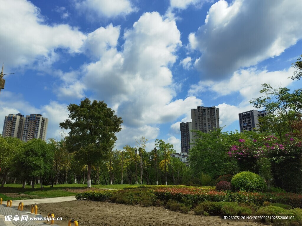 城市綠地中的藍天白云景觀
