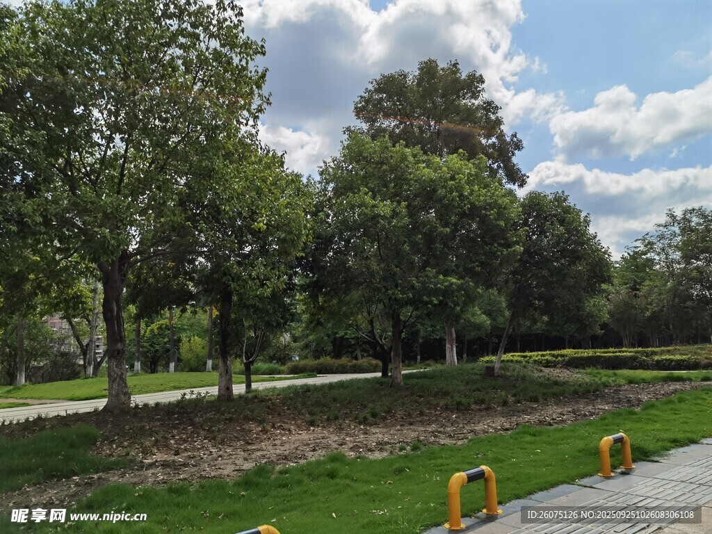 公園綠意景致