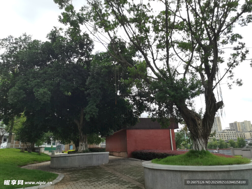 公園中的樹木與休憩區(qū)域