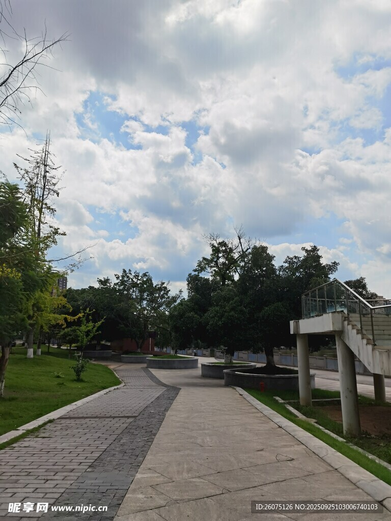 戶外開闊道路與綠樹景觀