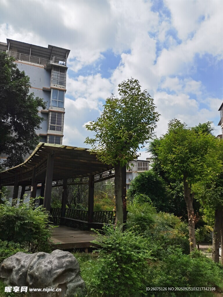 庭院中的涼亭與綠植景觀