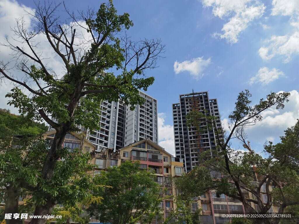 城市高樓與繁茂樹木景觀