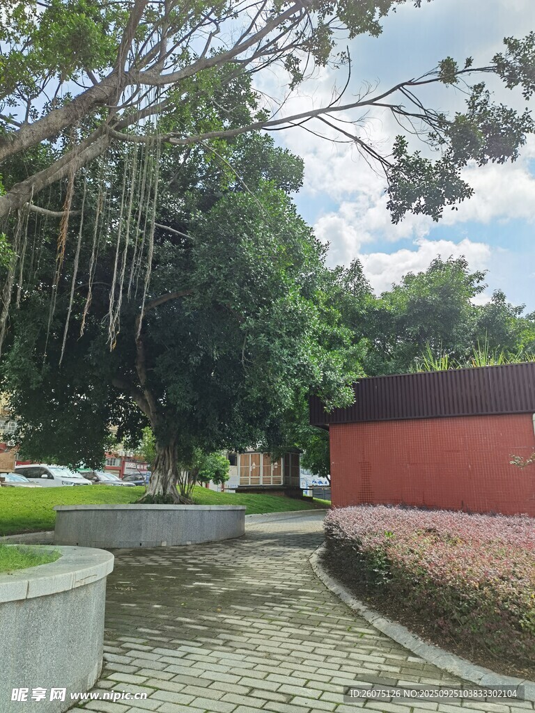 公園內的綠植與步道景觀