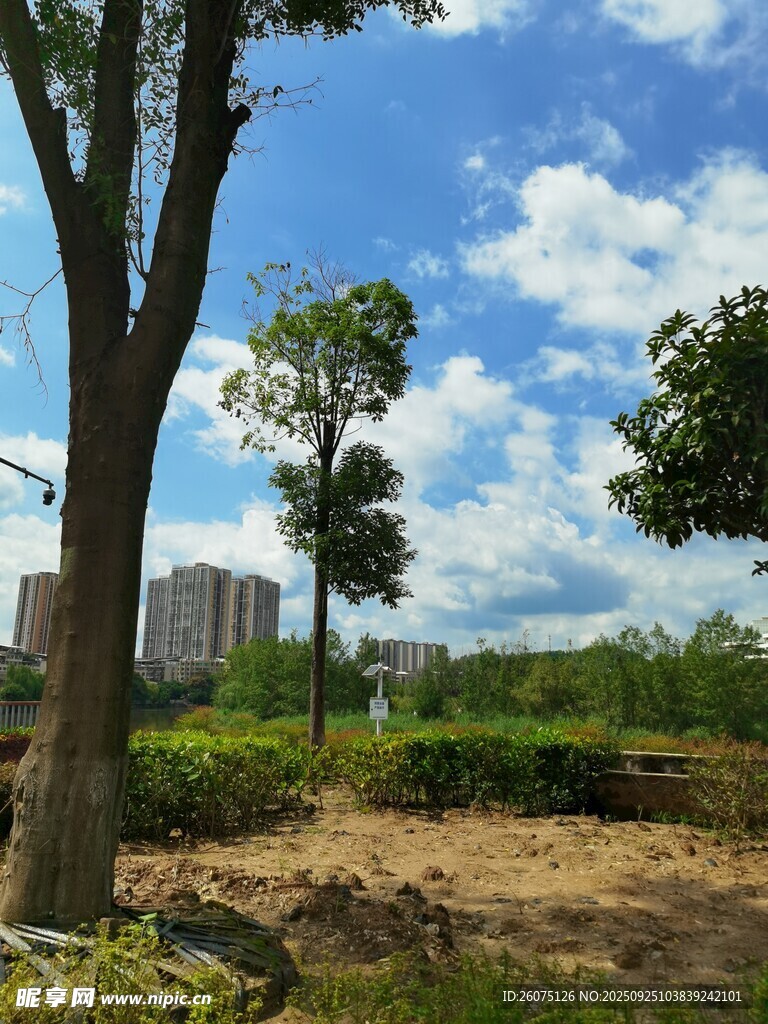 城市邊的綠樹與開闊草地