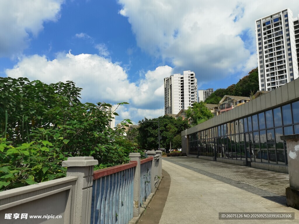 城市河畔風景