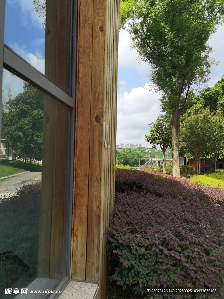 窗外綠意盎然的庭院景致