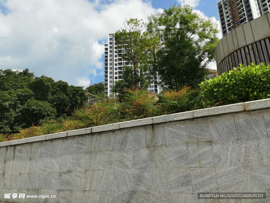 城市墻邊綠植與高樓景觀