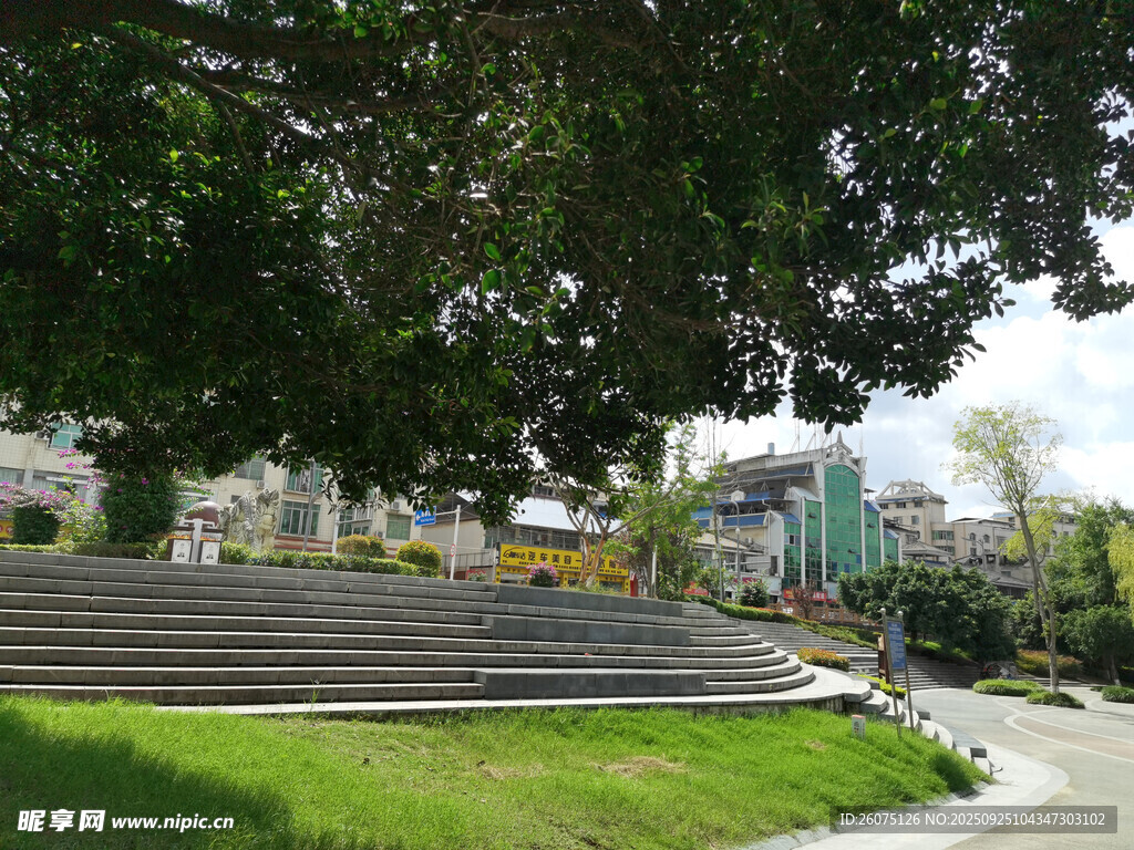 公園綠蔭下的寧?kù)o階梯景觀