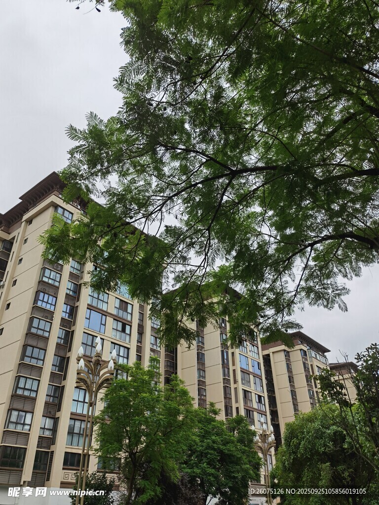 綠樹掩映下的現(xiàn)代建筑