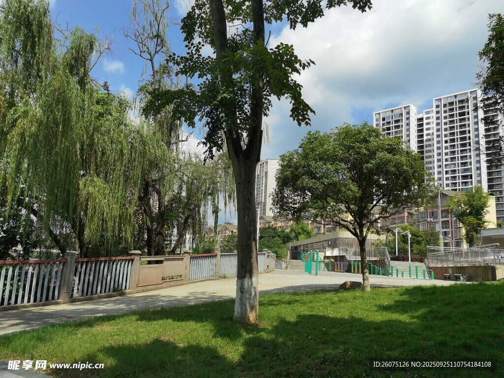 城市中的靜謐公園景致