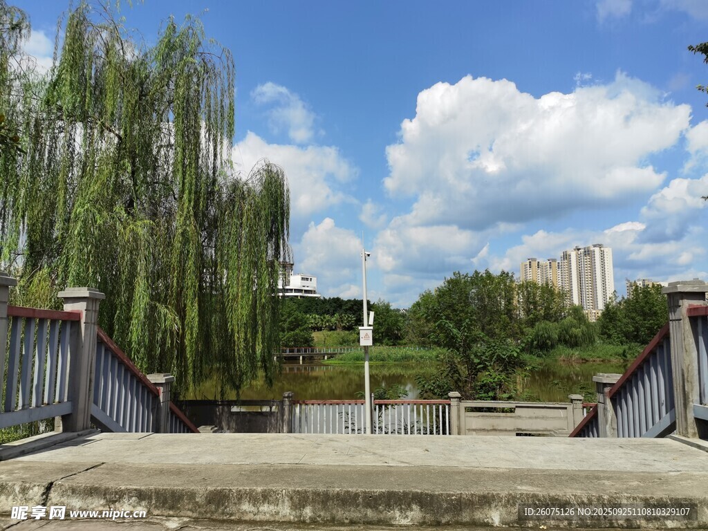 河畔垂柳下的寧靜橋景