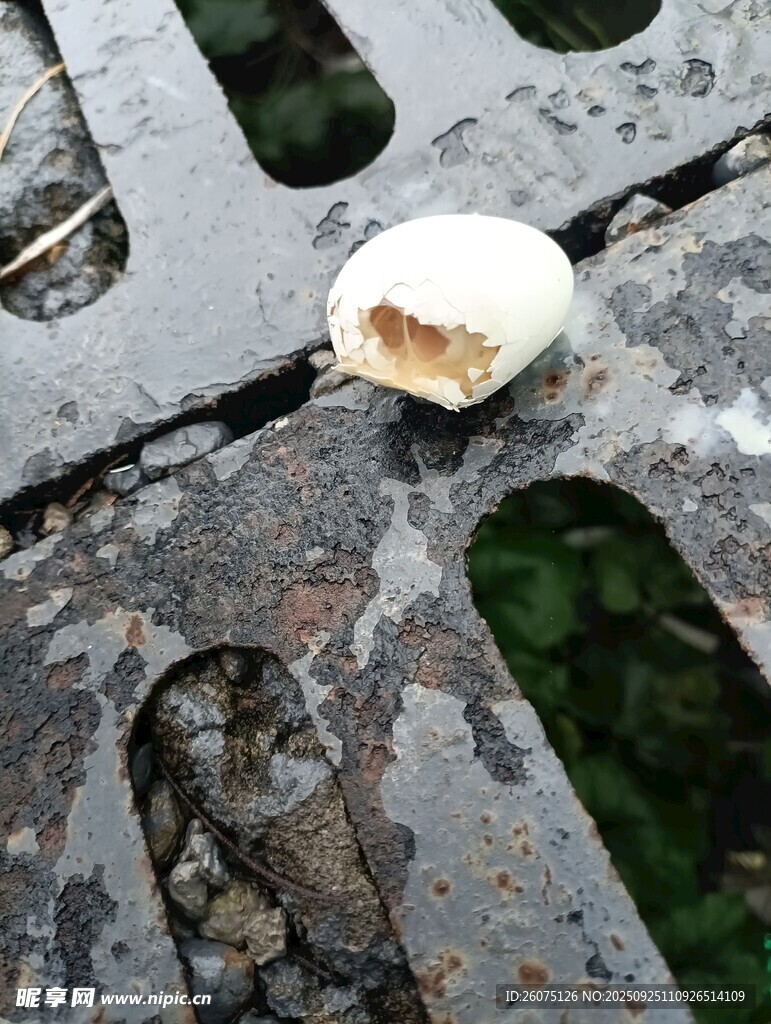 烤架上的半顆烤蛋
