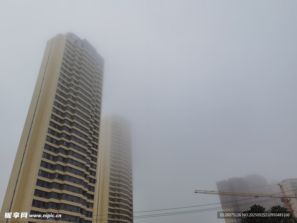 霧中高樓