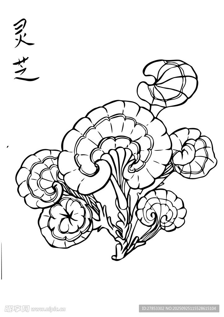 手繪靈芝圖案