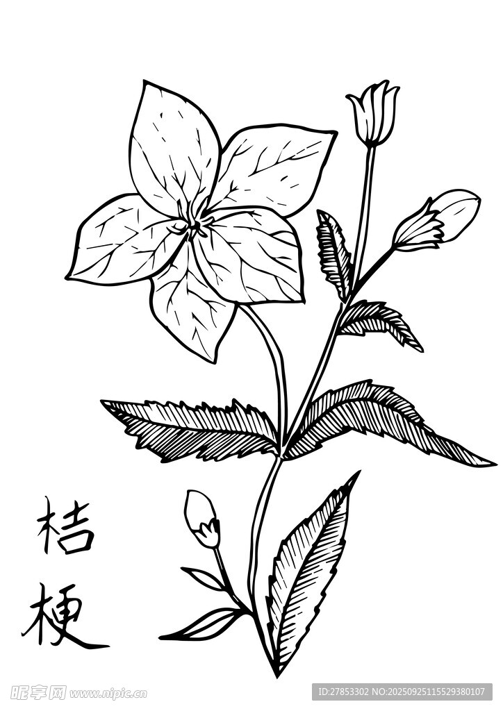 手繪桔?；ㄖ参飯D