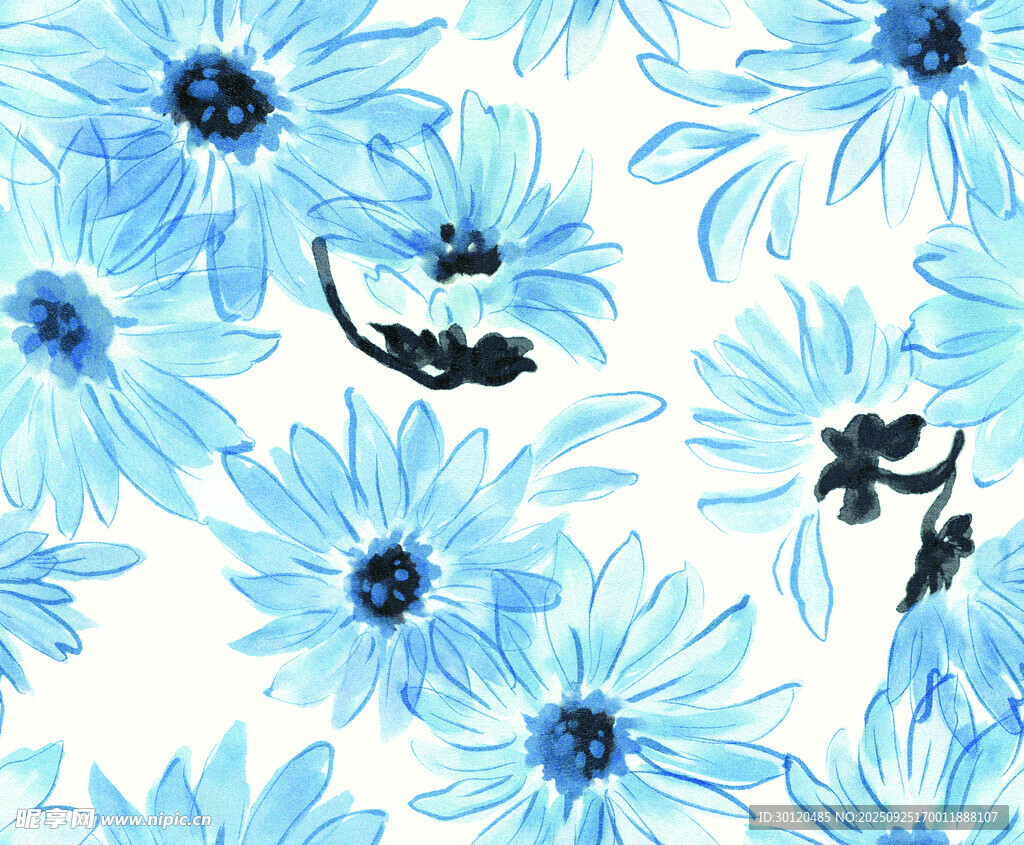 水彩菊花