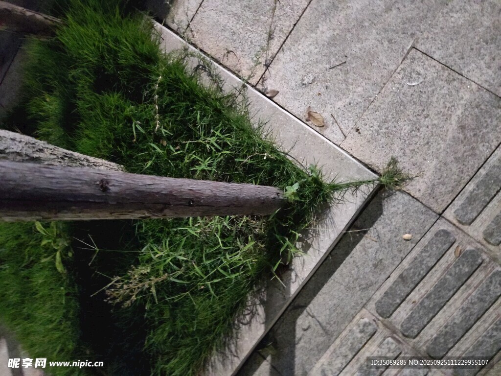 墻角綠植與金屬桿景象