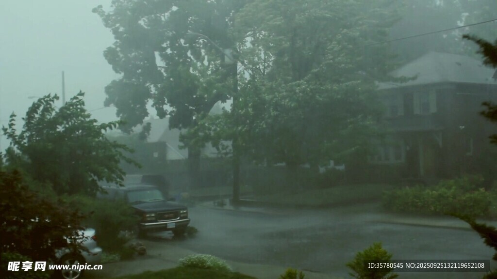 暴雨中的庭院景象