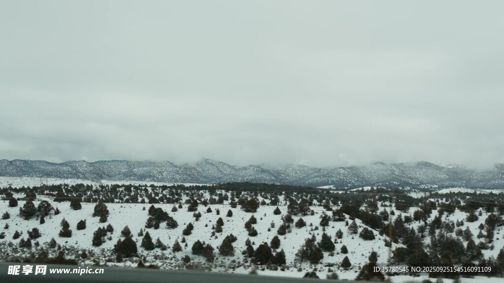 冬日雪覆山林景觀