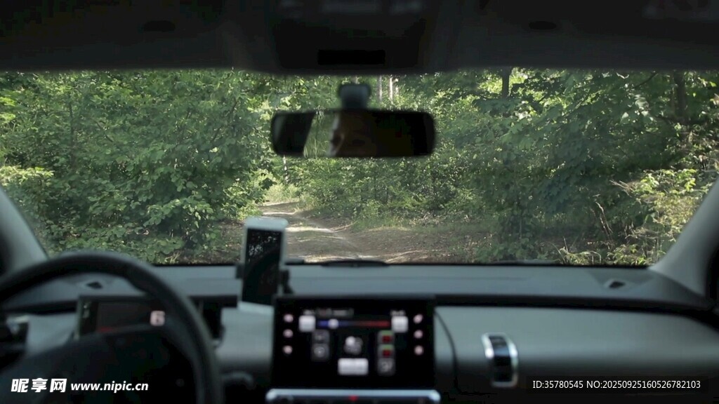 車內(nèi)視角看綠意盎然景象