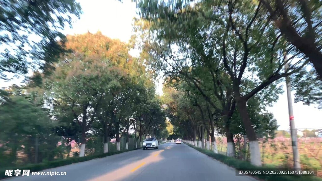 開車第一視角素材