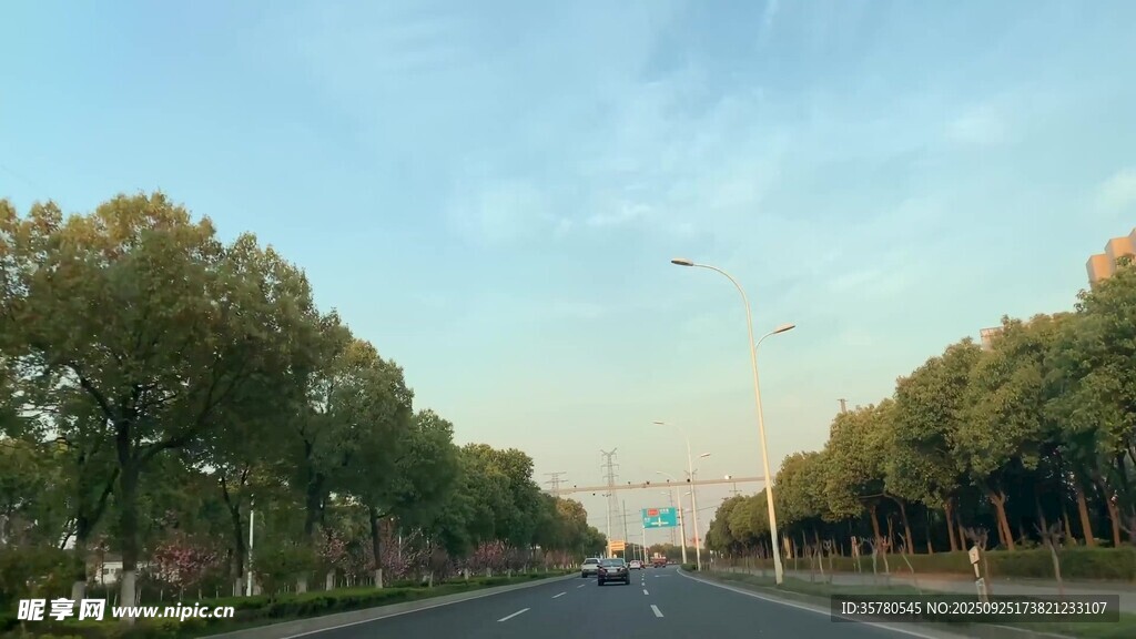 林蔭大道的清新風(fēng)光