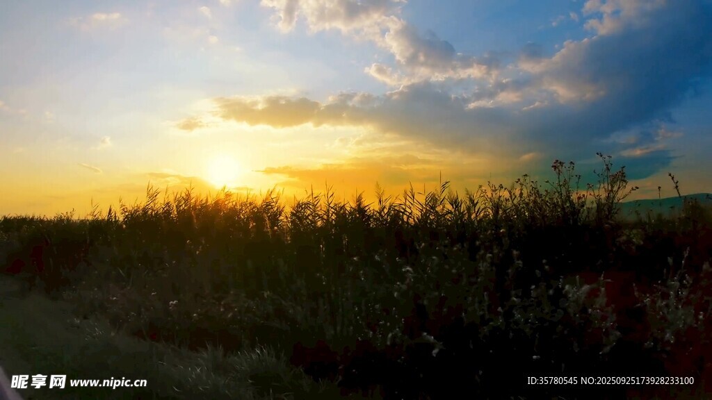 夕陽下的田野美景