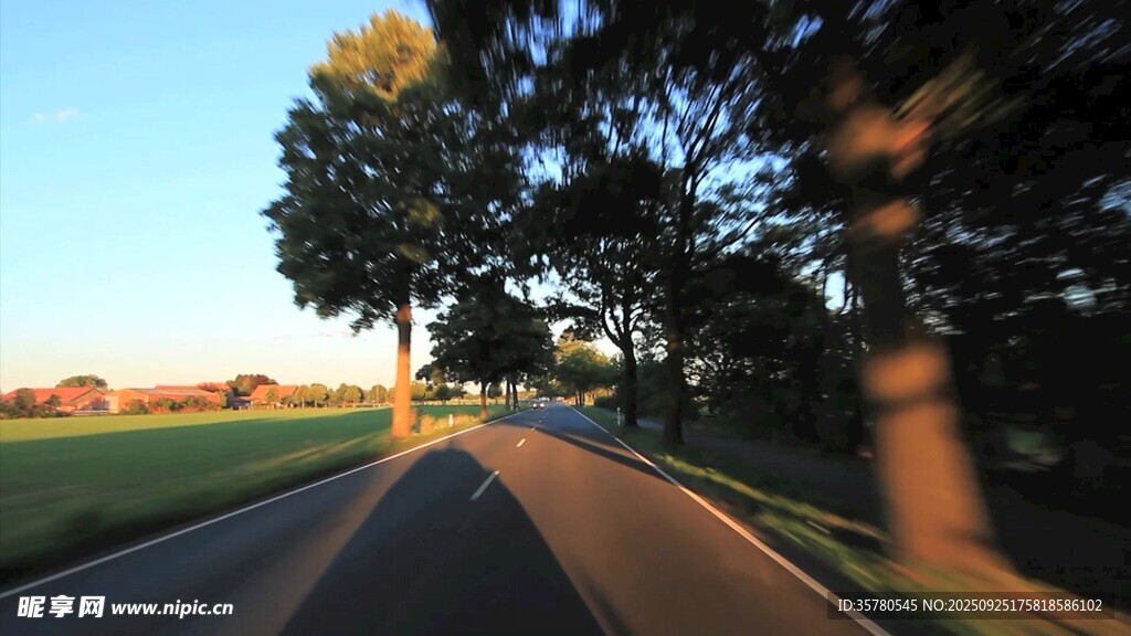 公路旁綠樹風(fēng)景