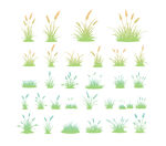 草叢植物插圖
