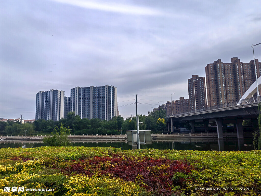 城市中多彩花壇與高樓景觀