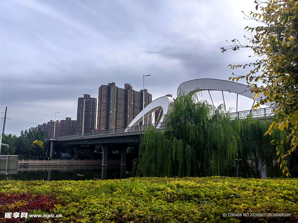 城市河畔橋梁與綠植景觀