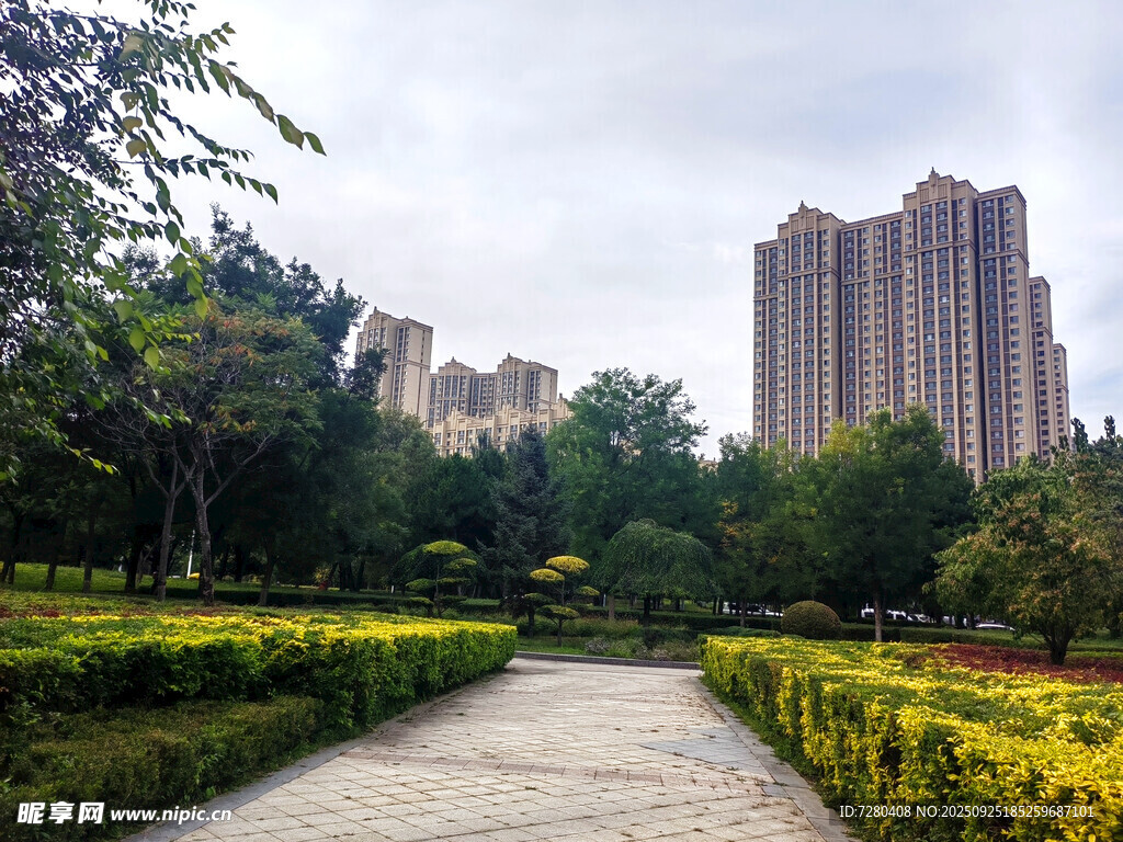 城市花園中的林蔭小徑