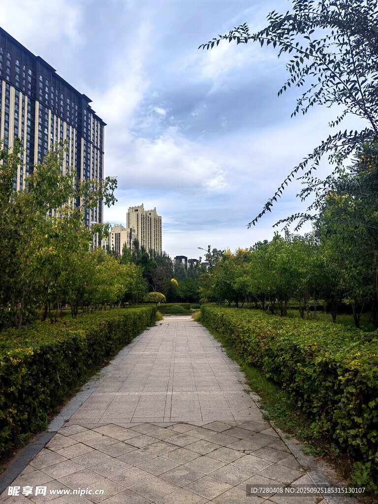 城市中的靜謐林蔭小道