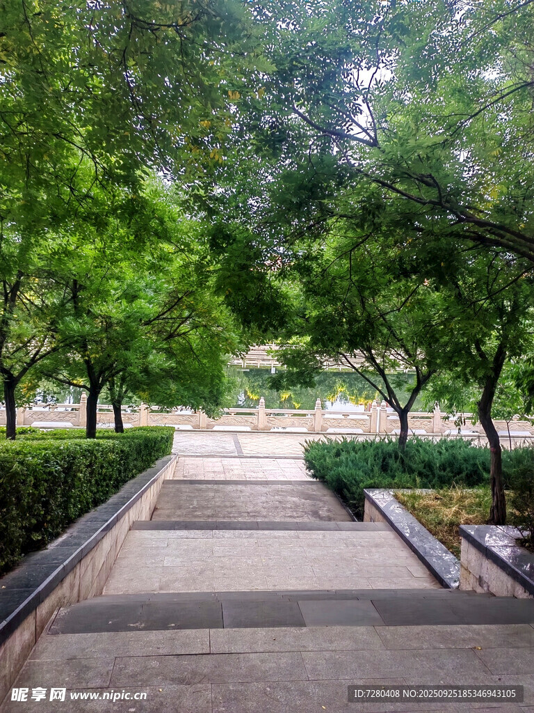 林蔭步道綠意盎然的公園路