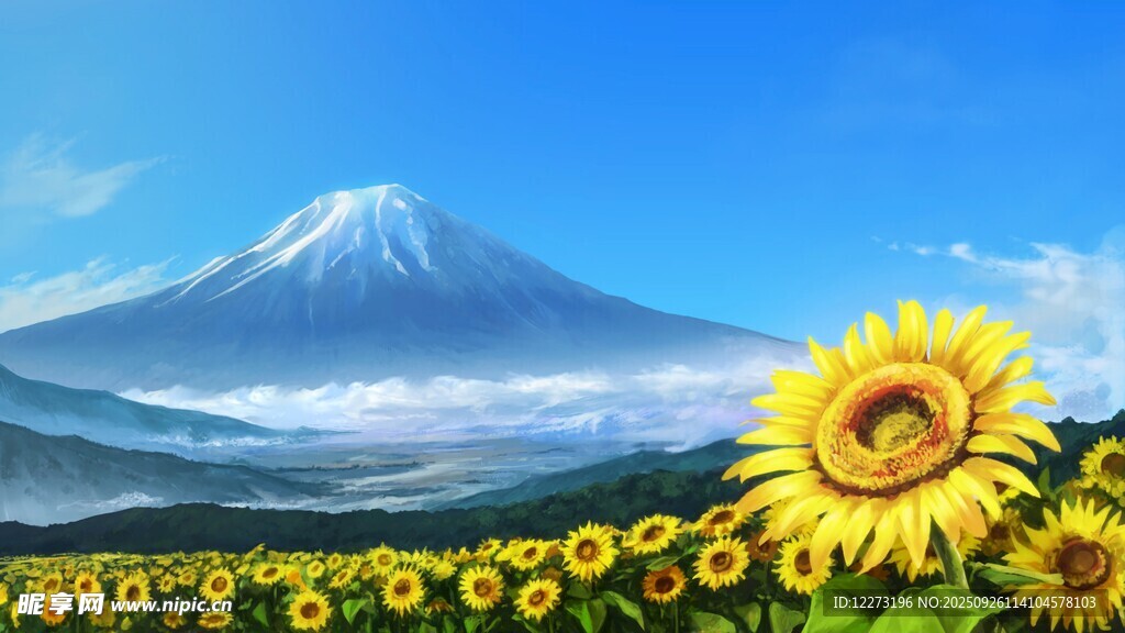 富士山下向日葵花海