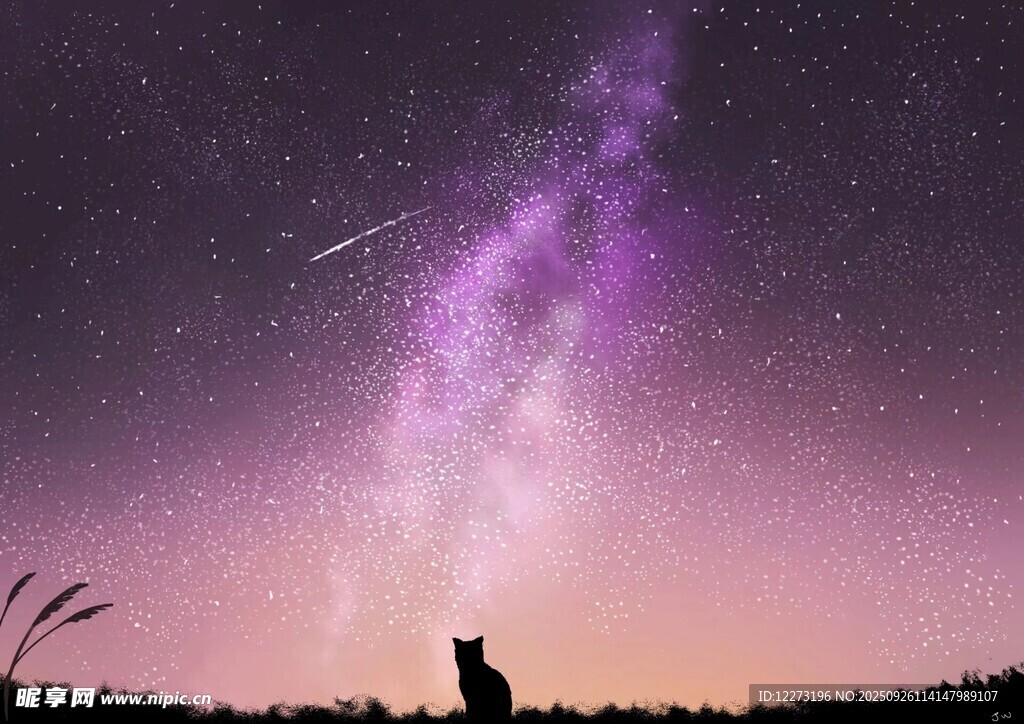 星空下的孤獨身影