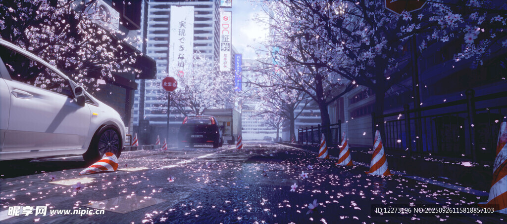 霧中城市街道與停放車輛