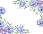 花卉邊框