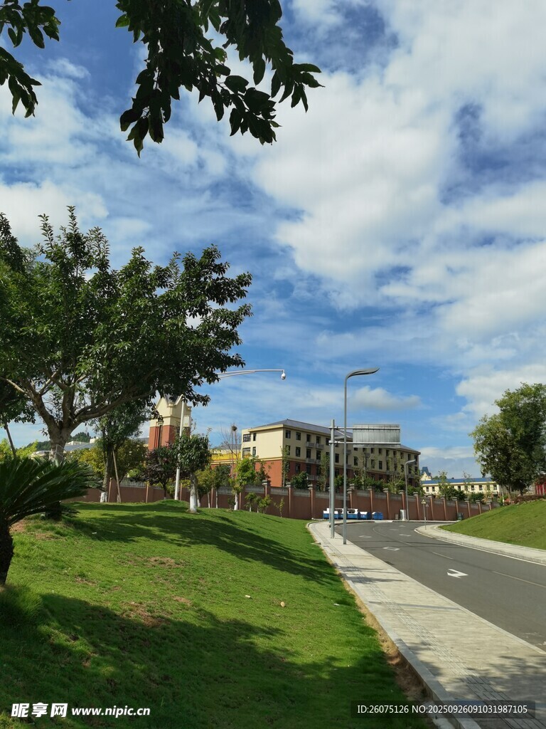 城市街道旁的清新風(fēng)景