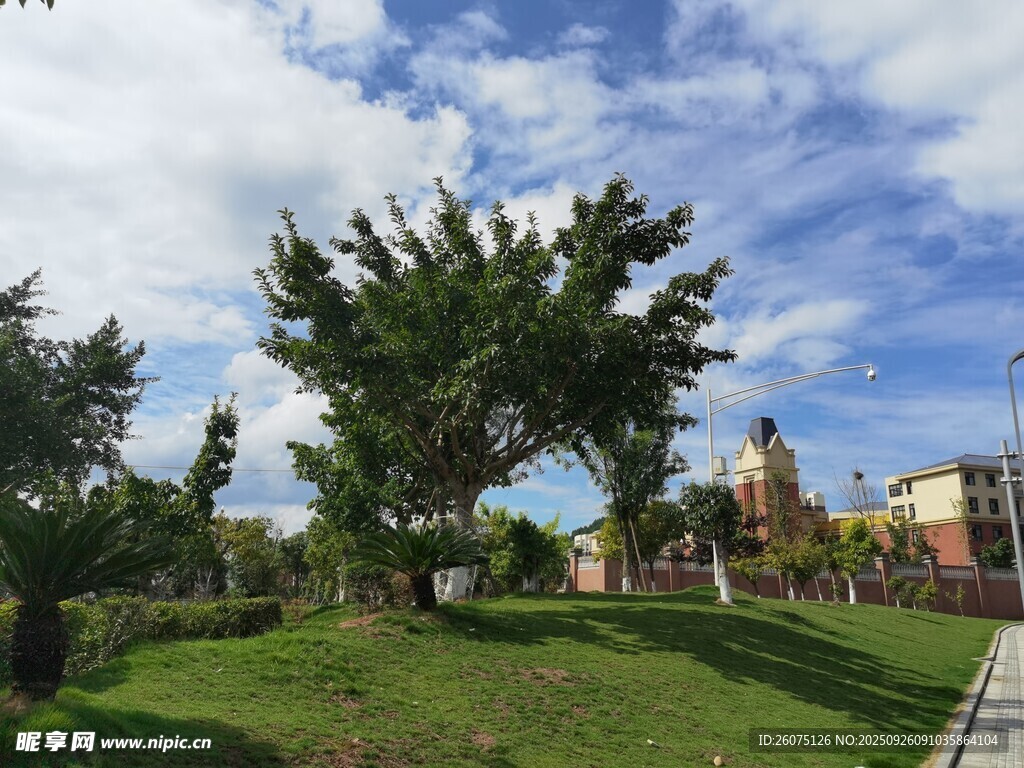 公園綠地風(fēng)景